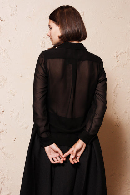 Sheer Sleeve Shirt