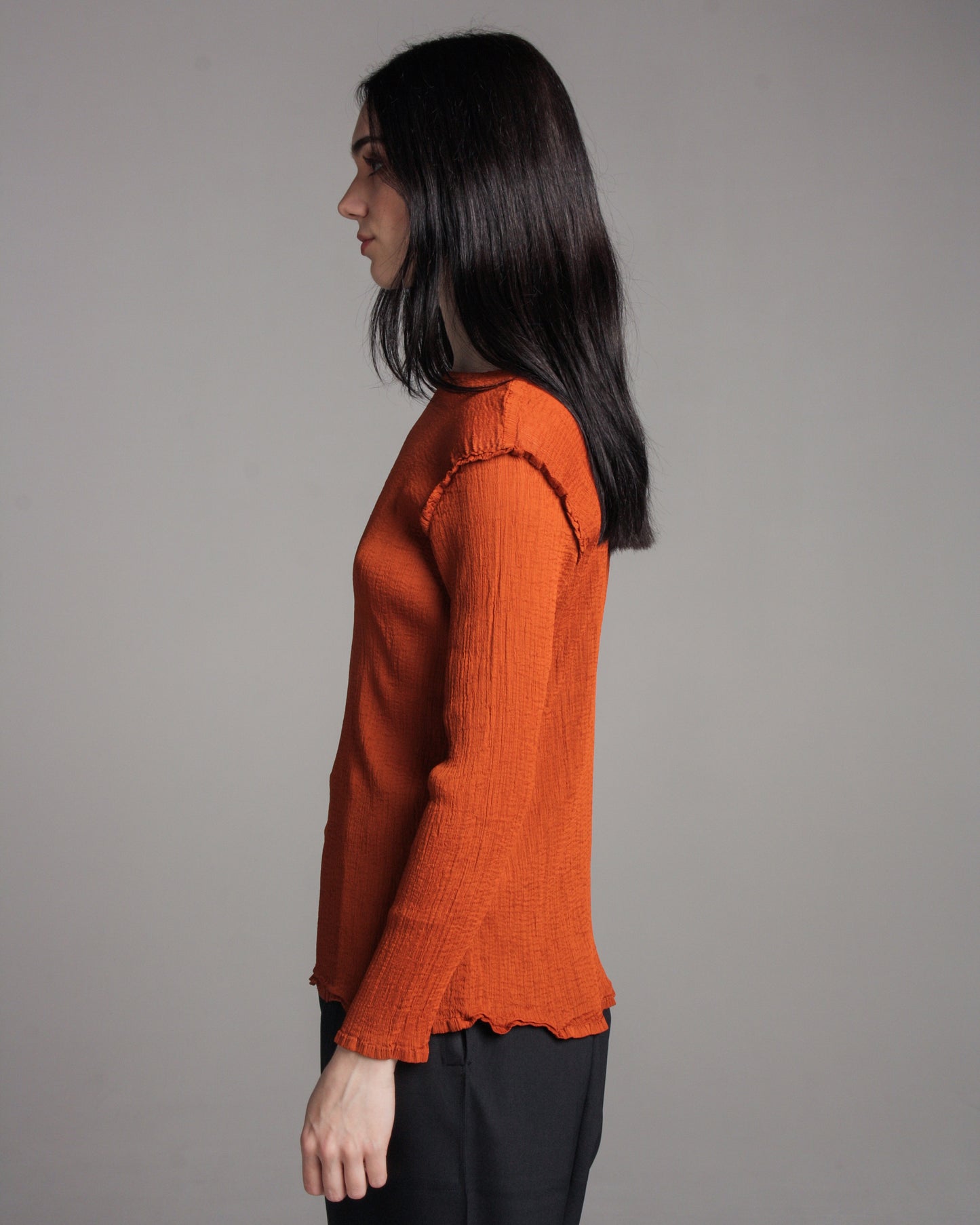 Brick Sheer Crepe Longsleeve Top