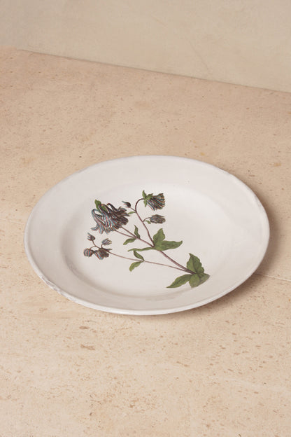 Columbine Flower Soup Plate