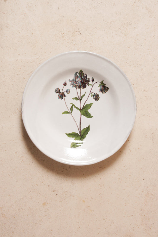 Columbine Flower Soup Plate