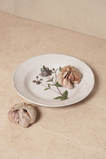Columbine Flower Soup Plate