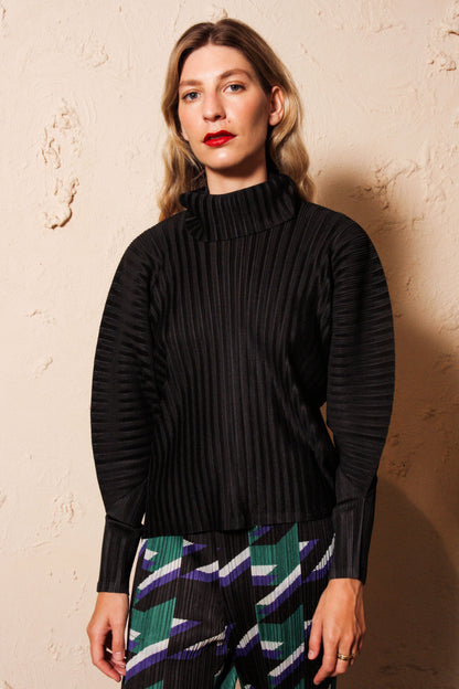 Rib Pleats Funnel Neck Top